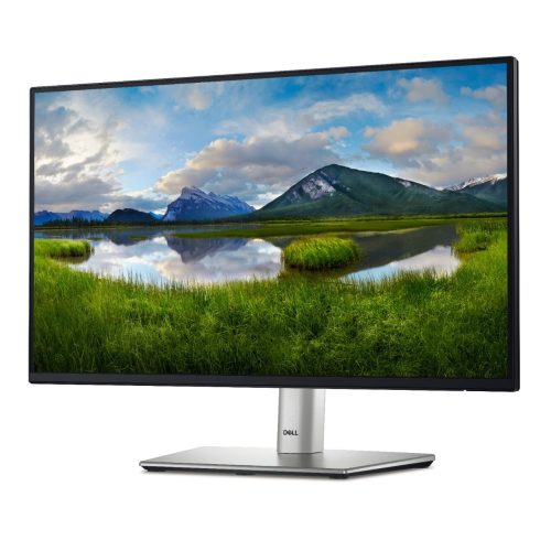 Dell 24 Inch Computer Monitor - P2425