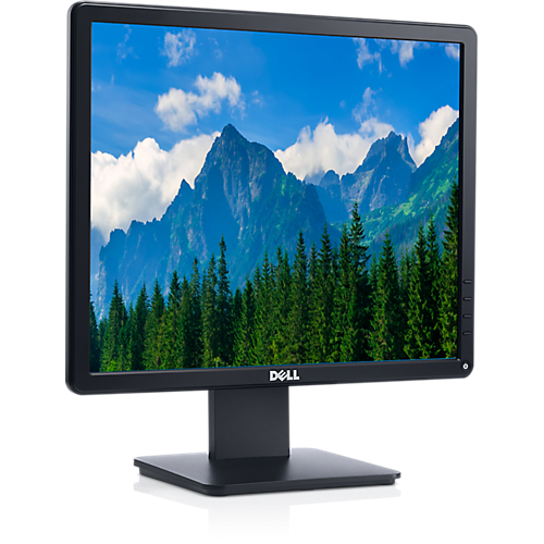 Dell 17 Business Monitor - E1715S
